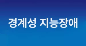 경계성지능장애 테스트