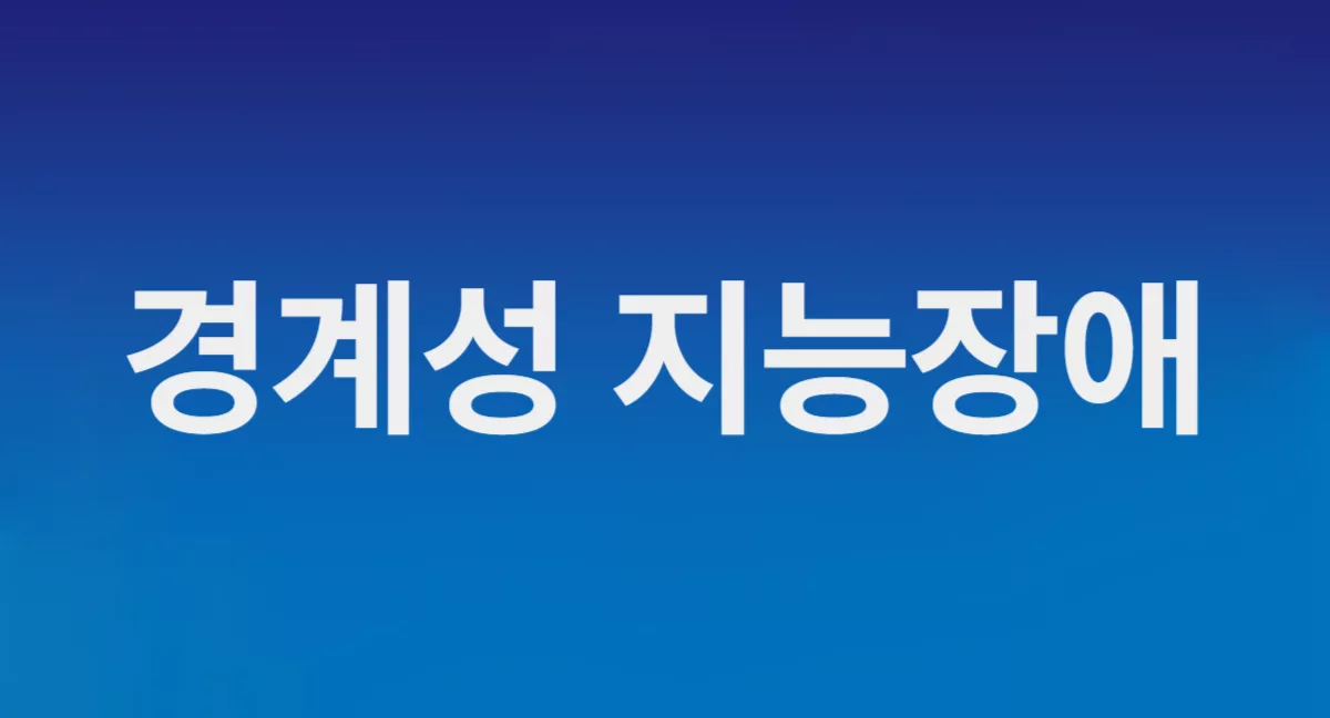 경계성지능장애 테스트